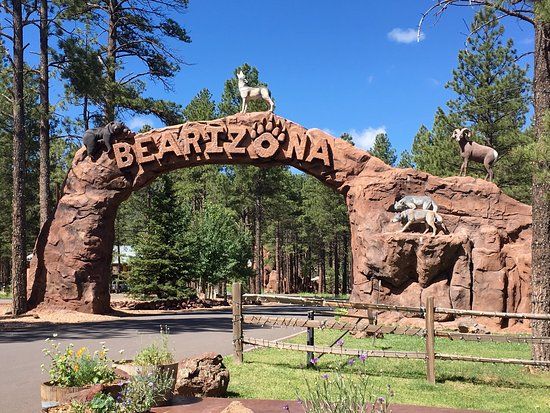 Bearizona Wildlife Park